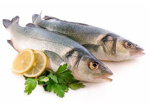 Shop for Kosher Fresh Fish